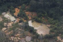 Foto de Neto de secretário municipal de São Carlos morre em acidente na Anhanguera Ribeirão Preto, SP