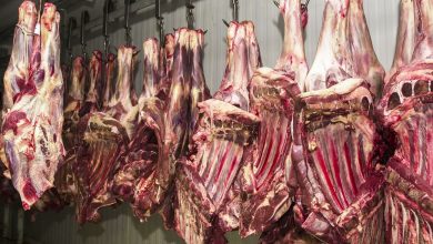 Foto de China retoma importação de carne brasileira