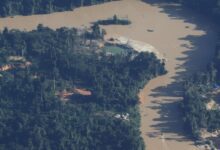 Cúpula: acordo deve evitar ponto de não retorno da Amazônia